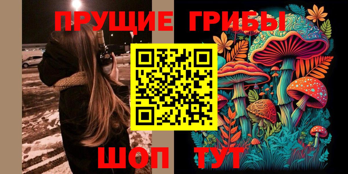 Галлюциногенные грибы Psilocybe Кубинка