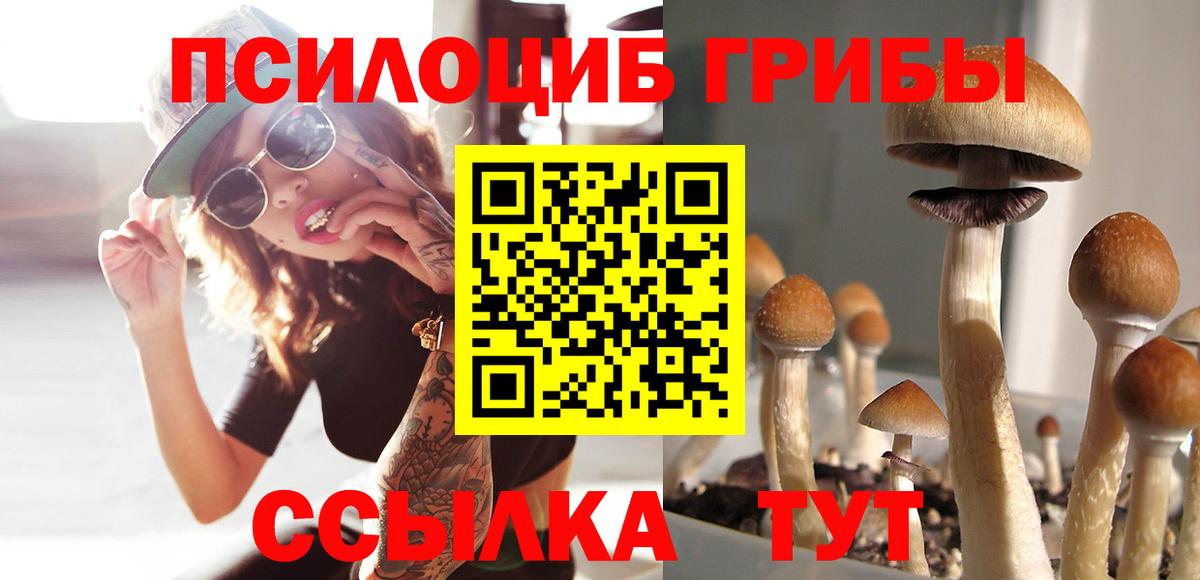 Галлюциногенные грибы мухоморы  Вход с VPN  Кубинка 