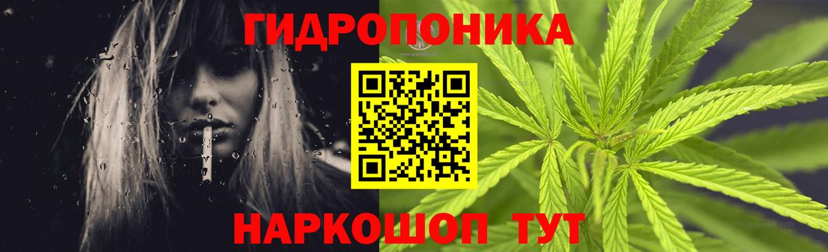 Конопля Bruce Banner Кубинка